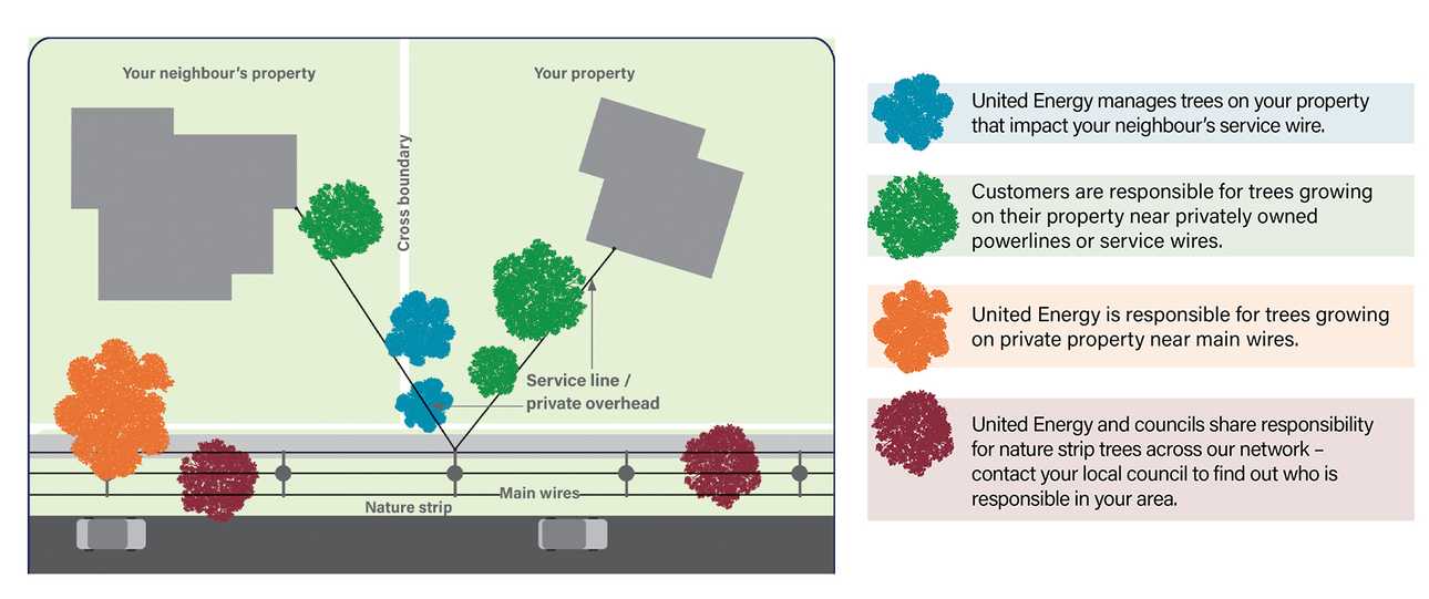 Visual representation of the information in the ' Who's responsible for managing trees near powerlines?' section above