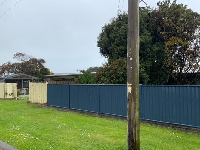Any other supporting photos that can help us to the distance between the tree and powerline.