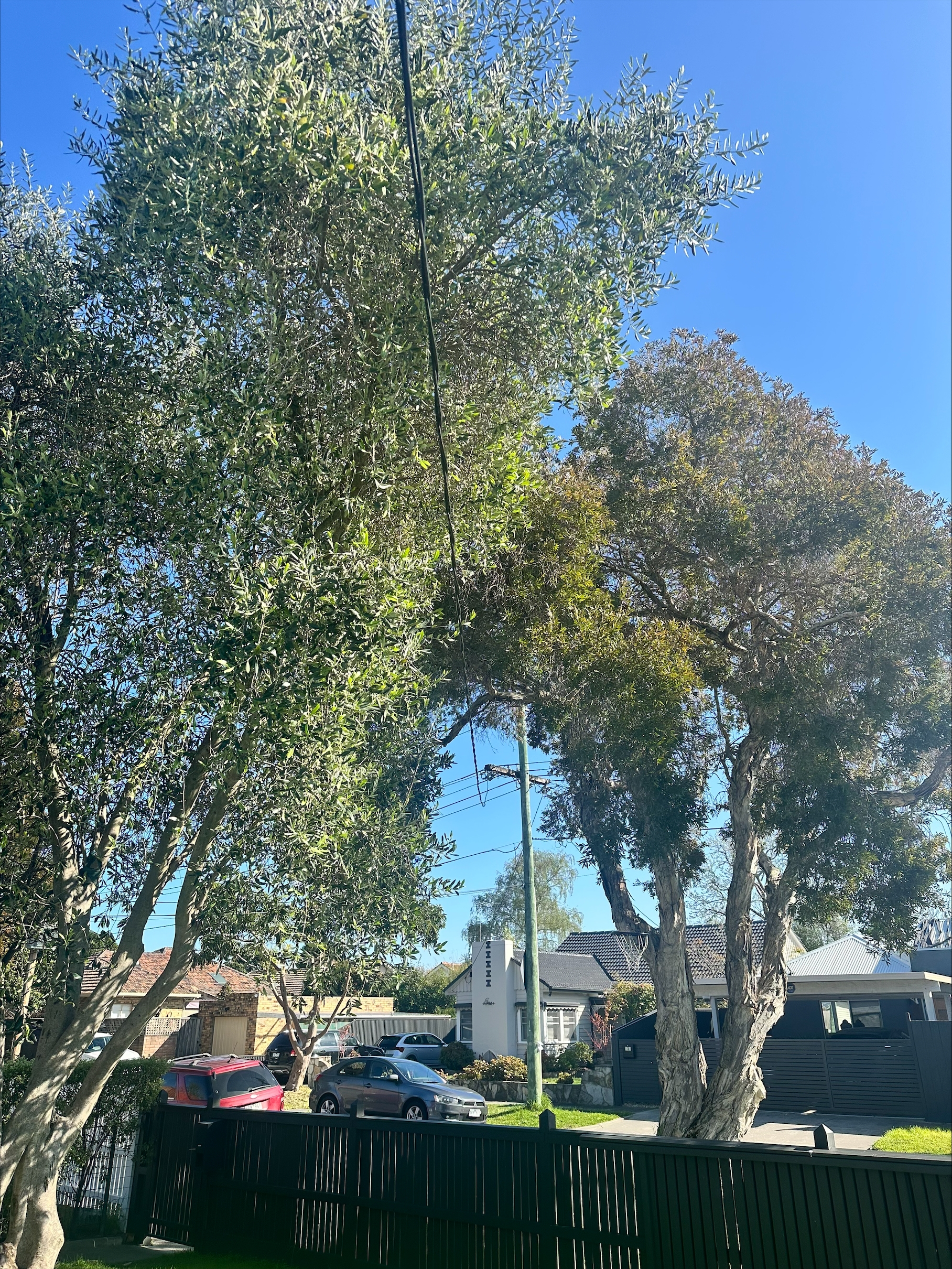 A photo showing where the powerline attaches to your house, ideal back towards the pole so we can see how close the wire and the tree are.